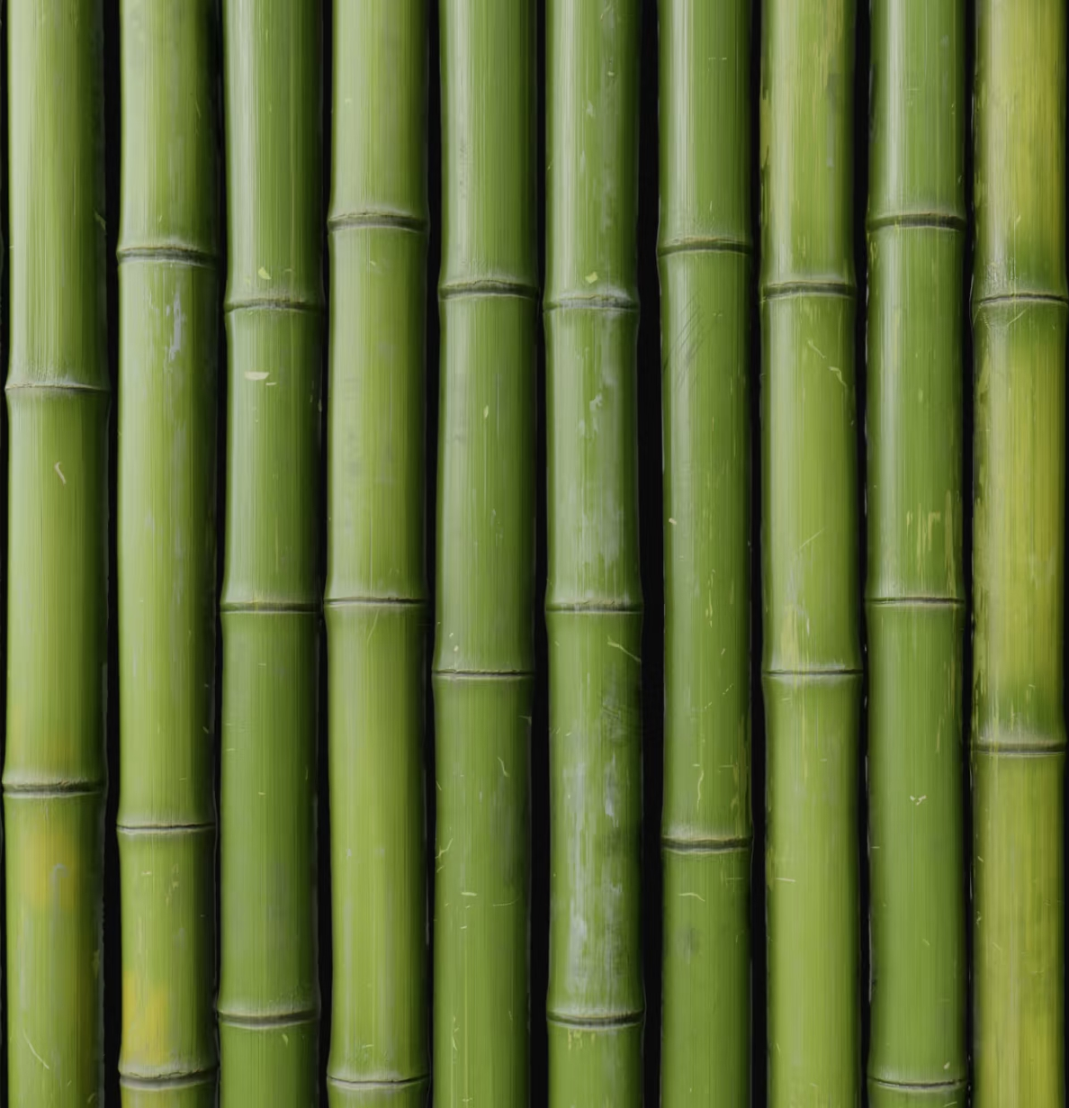 Bamboo Fiber